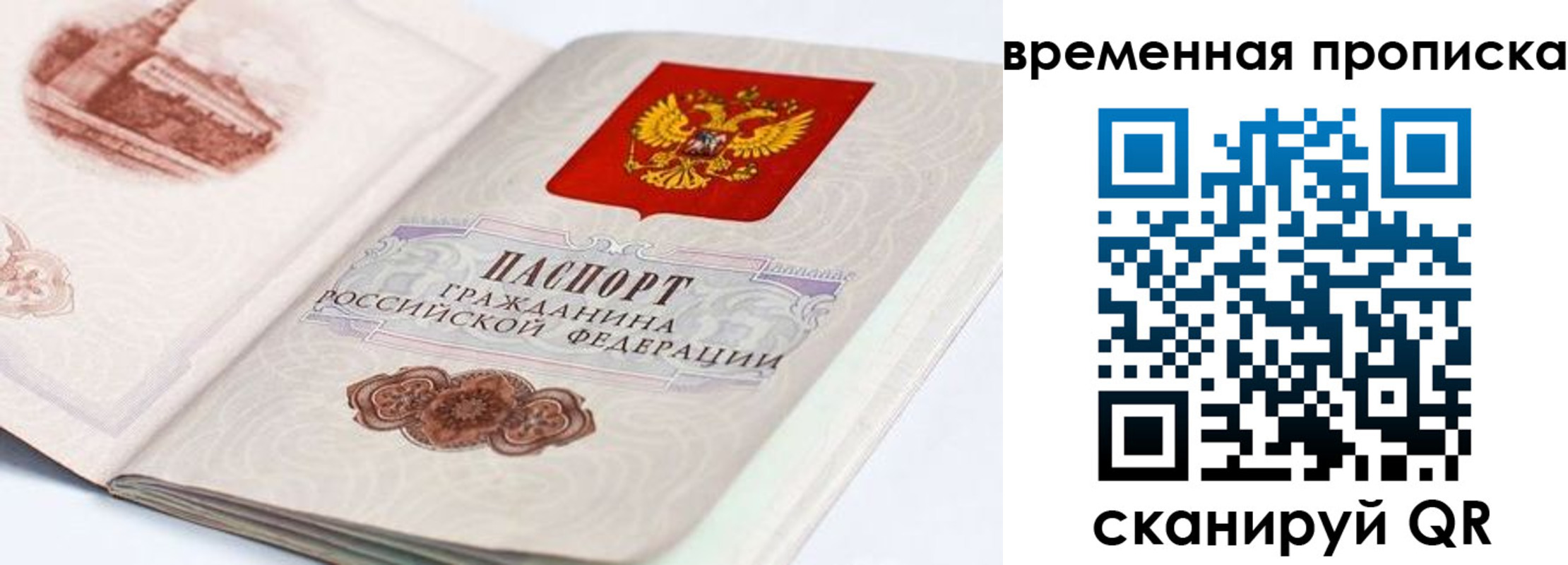 прописка 2025 в Шадринске